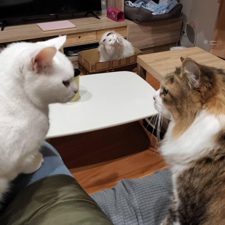 27c41da8 49ac 4e0b 8de4 689d1d90554e 1770032298775