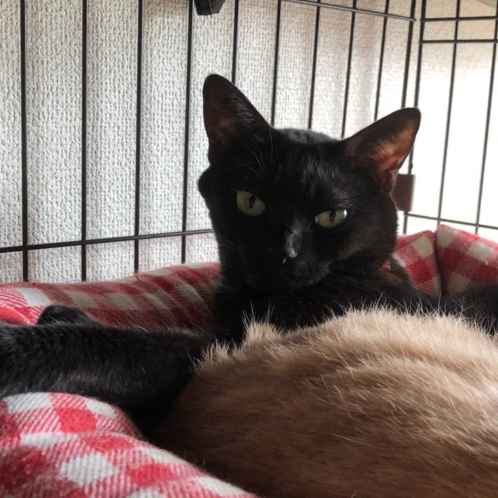 27c46d6f 6a7c 45e6 a9d2 7db3ea45c453 1548467265642