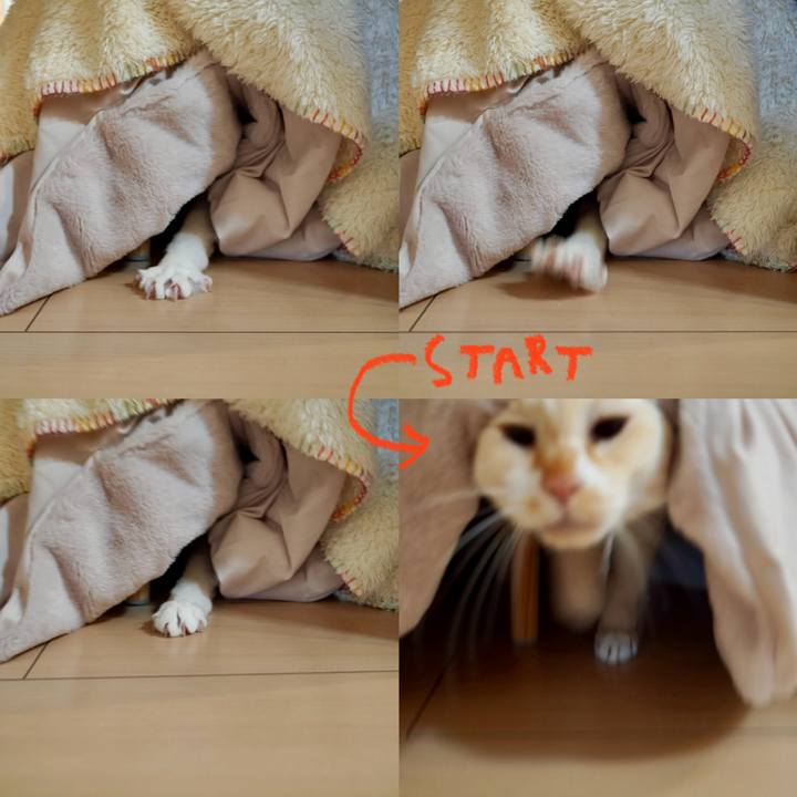 27c473ea 281c 49e0 af88 f32e2a4b18b3 1764820482107