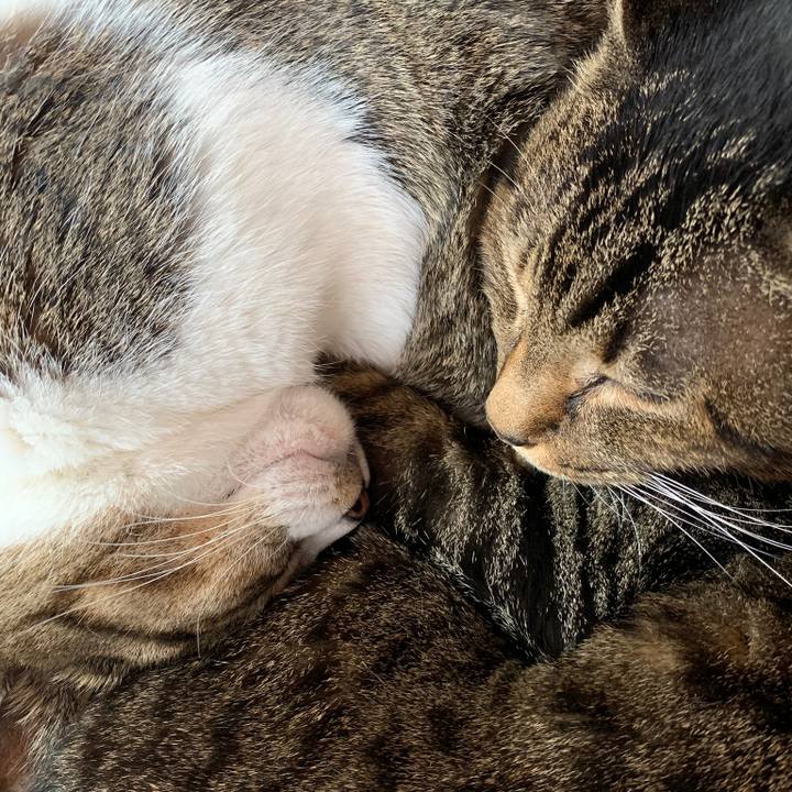 27c4852b e146 4674 8619 651066a71638 1579397510756