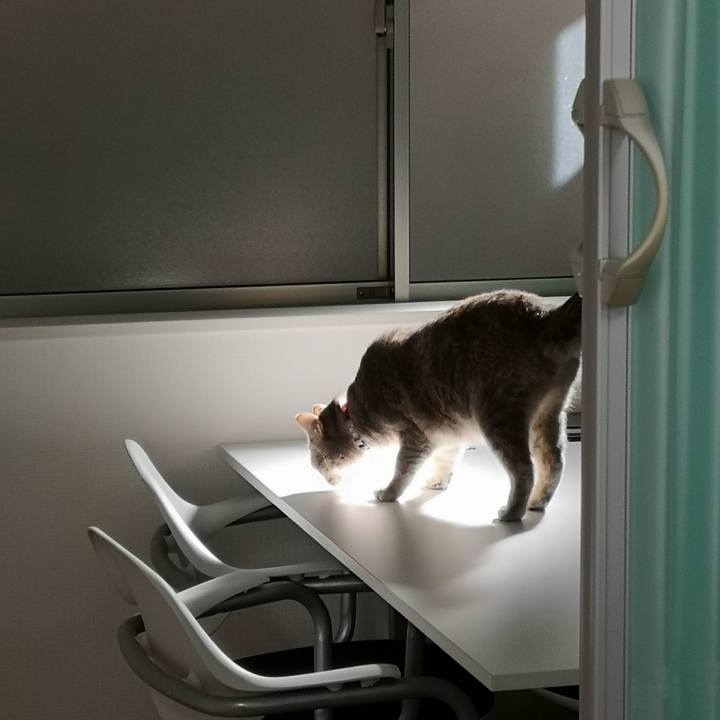 27c48e2e 4b38 486e 96f0 b31fa7ad89ec 1557193787549