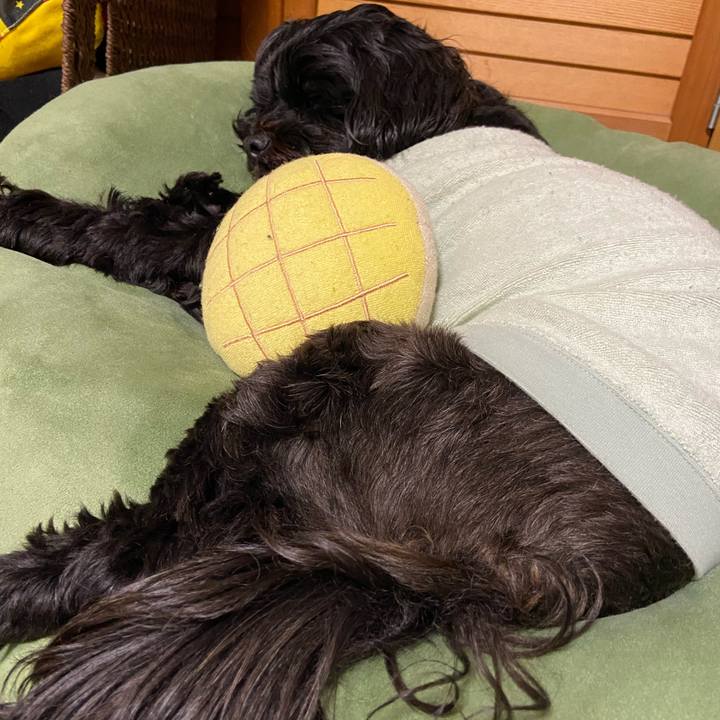 27c49279 876e 4d85 acfb b012c913c6d4 1583843815367