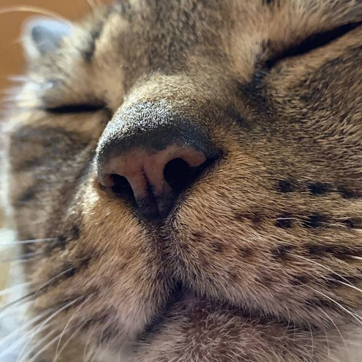 27c4c625 7b0e 4730 9de6 3999dae9ee99 1558140579063