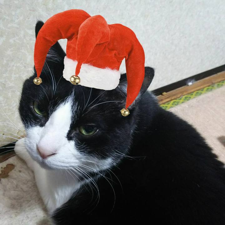 27c50a24 af4c 4f12 8850 387ecef9c2d5 1545258616274