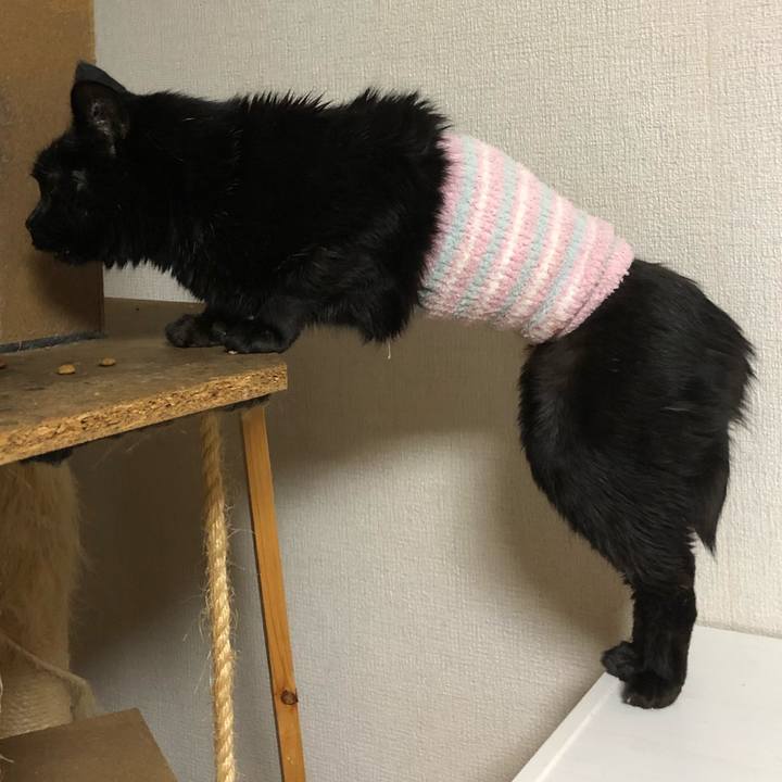 27c50a46 6bb8 4a32 9d47 0447ebb5dc29 1643980132983