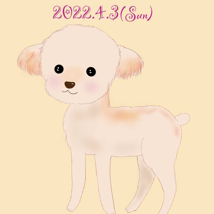 27c50c31 eaf6 49b5 b199 58bd7e923c73 1648984316300