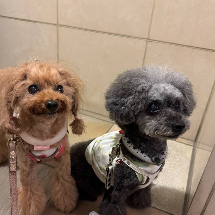 27c5190b 39ef 4ecf aabe 8e60a5132b17 1757286538119