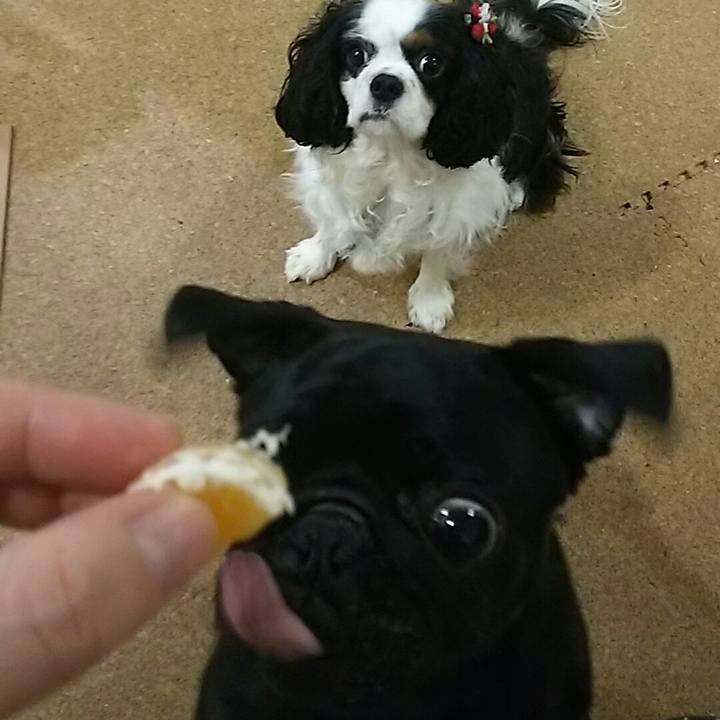 27c51f0e 47a1 4611 a83f 0b826e1ad3b0 1538313107241