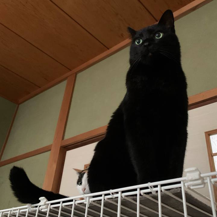 27c55428 5a7d 4351 aad5 500fa8e5ad03 1581816387575