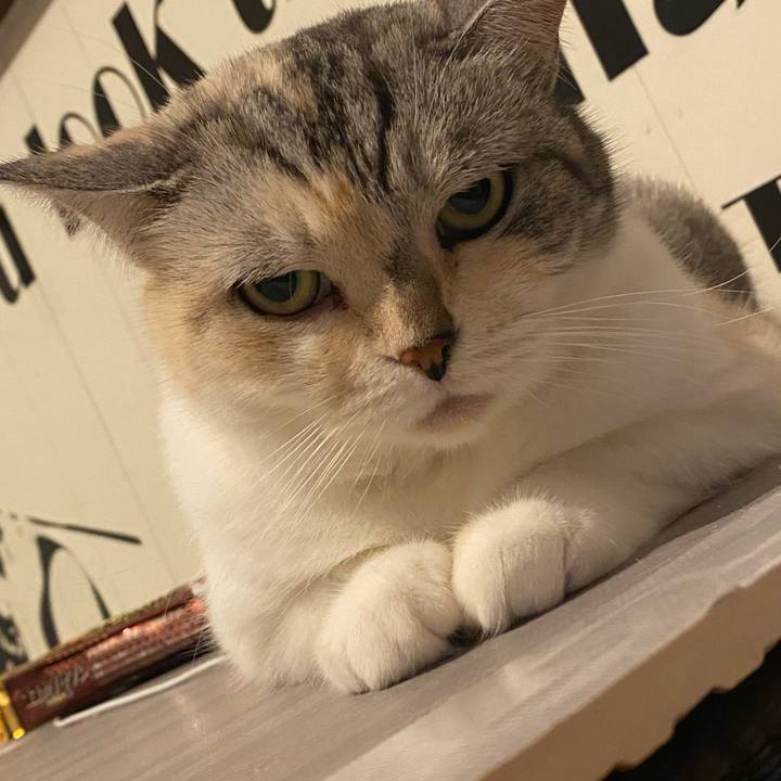 27c59ee6 68fd 45fe 9e93 05f1a899c244 1625293073686