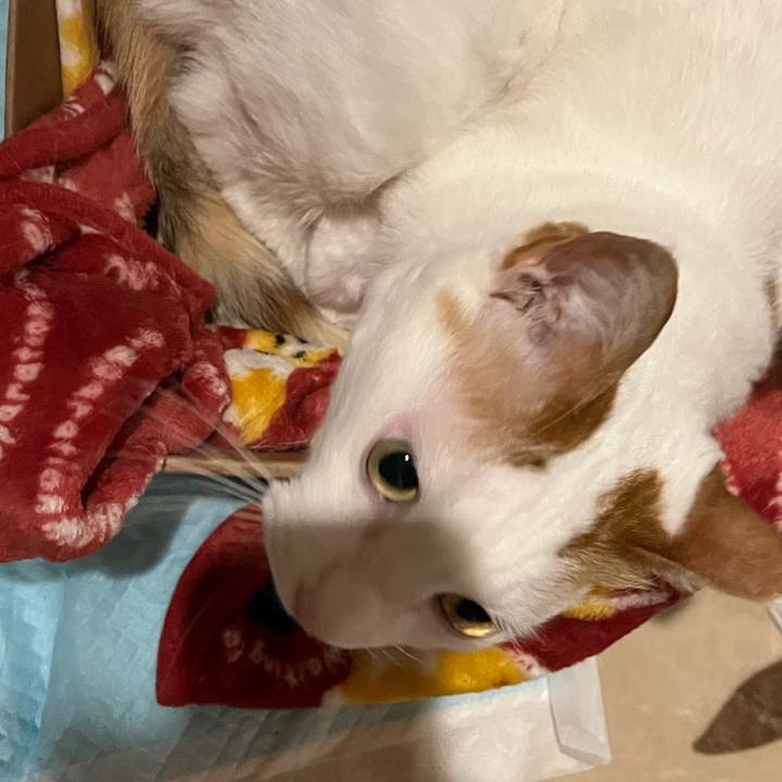 27c5a0bc 6f57 4f88 b9ab 40c590b32c30 1771684841453