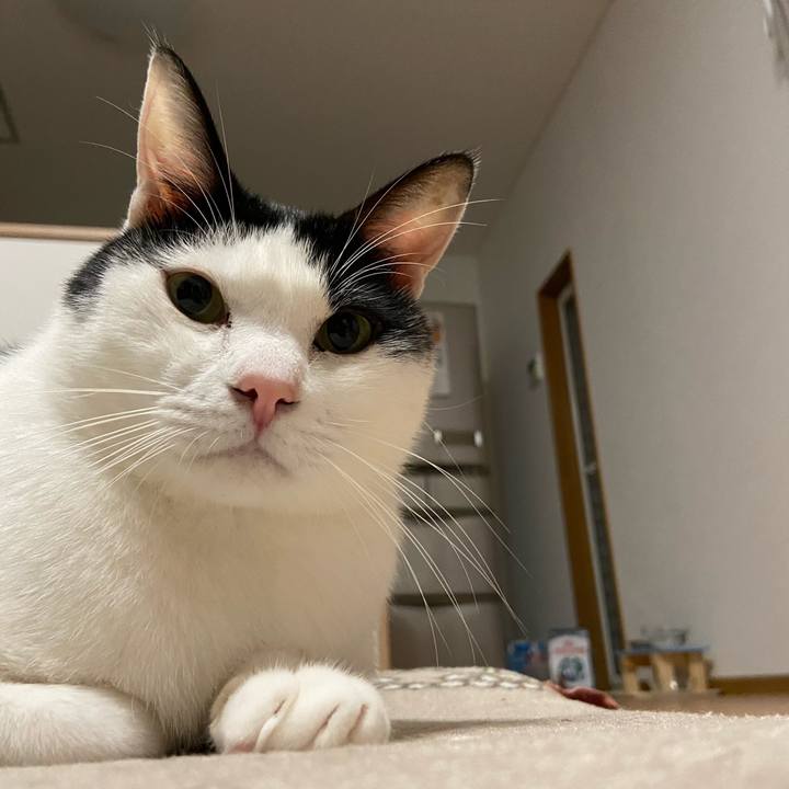 27c5e66e 62d7 4a96 b617 5d26529c4527 1606650653464