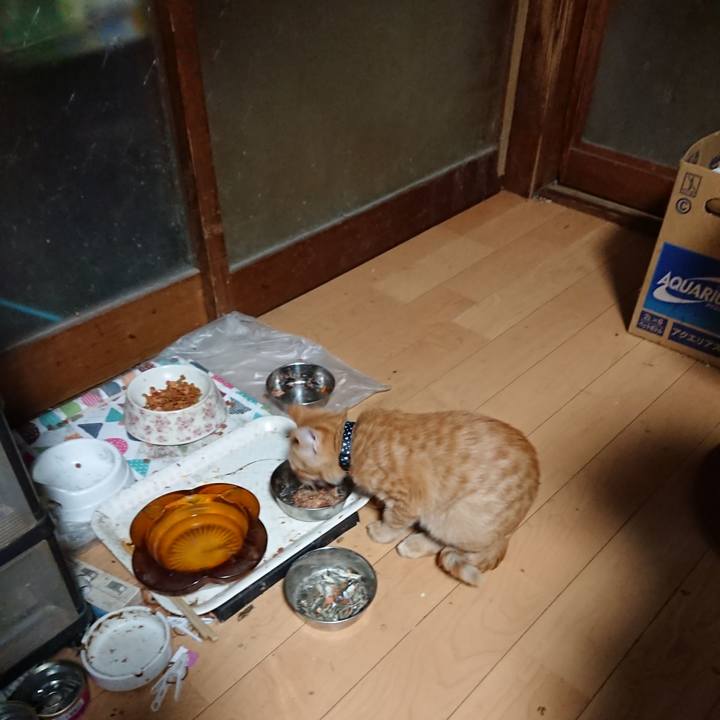 27c5eb6c a582 4dd7 ba06 560514eacb61 1635108316184