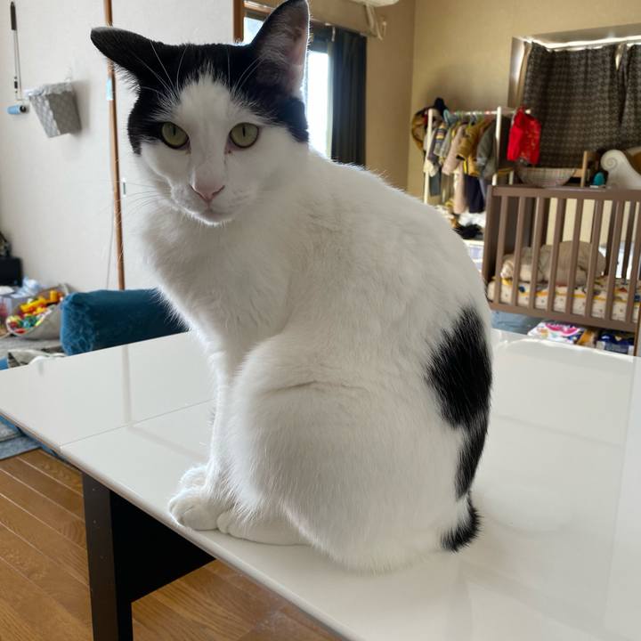 27c60135 e9d1 45e2 a358 ea9b2cc40a21 1612148687442