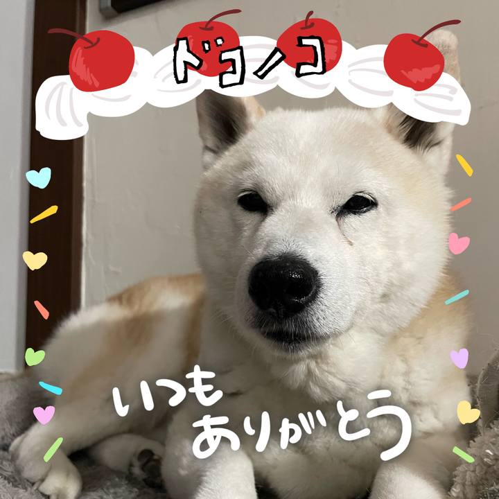 27c616be 199c 4b4a ad5c e1c564afe4d5 1685934404383