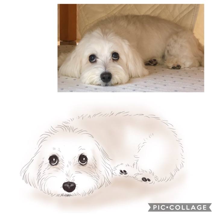 27c62085 106c 4a6f a90d c8f0740840f1 1565423845070