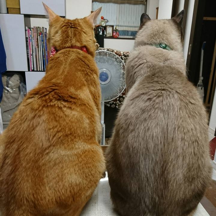 27c67be5 df5b 4810 814a 65764289a481 1507759714564