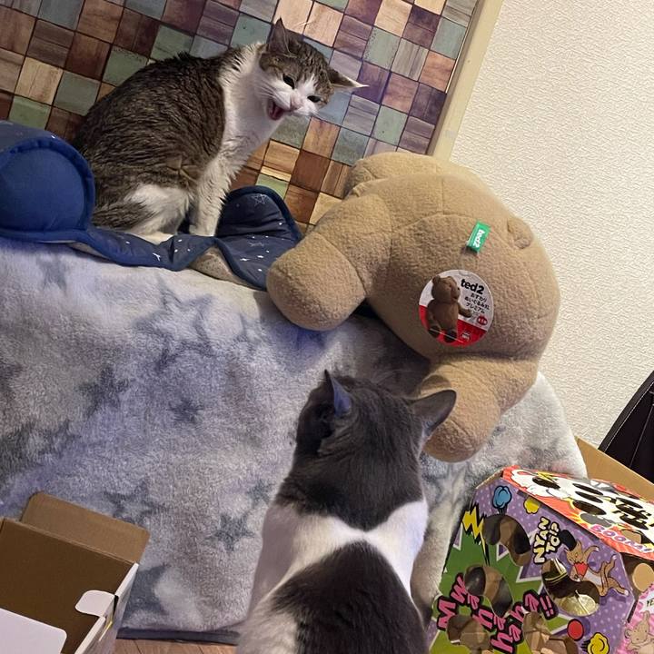 27c6a209 58af 4184 a54c c579fb910e06 1639988404692