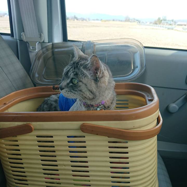 27c6c7ba 5e92 4b76 a570 ec8fdee49ffe 1587017041345