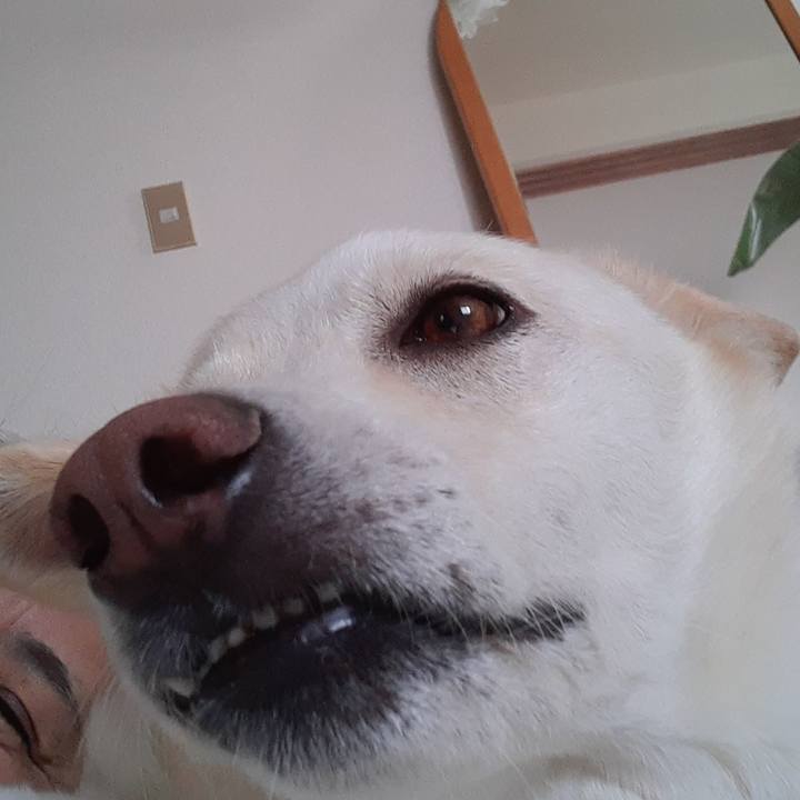 27c6d6ca b7cc 48c3 ab39 489ef1d58b32 1656722468942