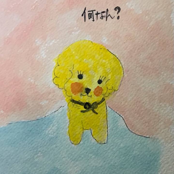 27c6e928 1416 4a64 b3e8 d45a734e5445 1640610314495