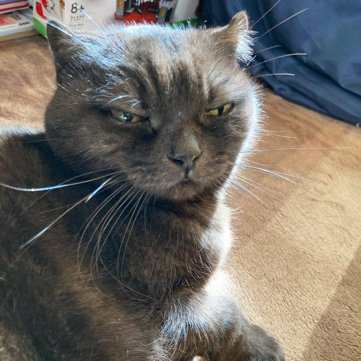 27c77d51 bd54 48be b1fc 962355781691 1608870234661