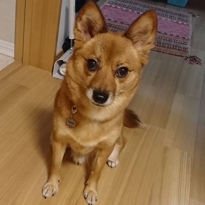 27c794ee 189c 495f 86ef 3fddd00d88db 1537755271954