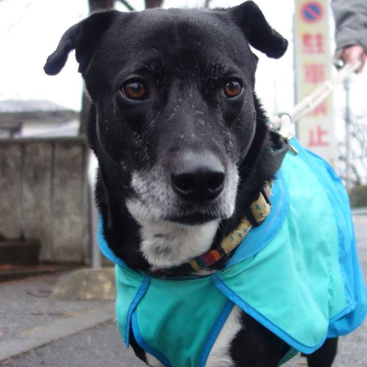 27c7a38b 0bec 4d89 8420 50fdb5a90221 1707005757369