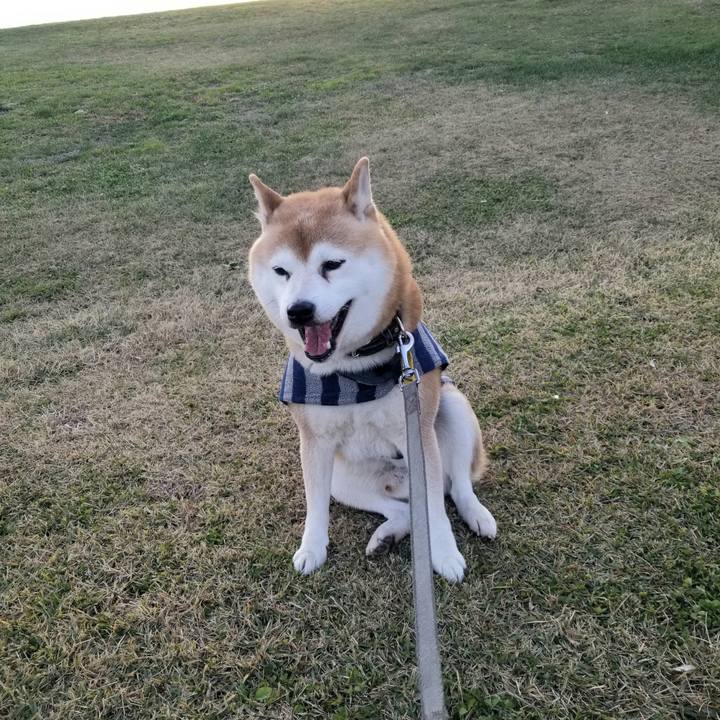 27c7abdc 64c7 4f9b b40c 3feef1cb31bc 1637305742471