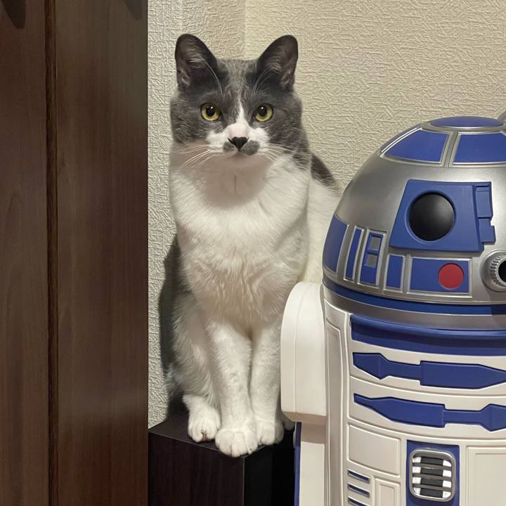 27c7fe1f ca75 4653 a414 083aa95abccf 1647169319829