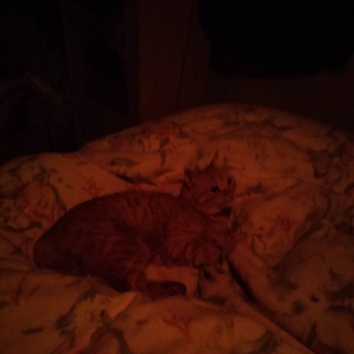 27c81721 59f4 4de8 bf31 d6ee11582f4d 1670255519298