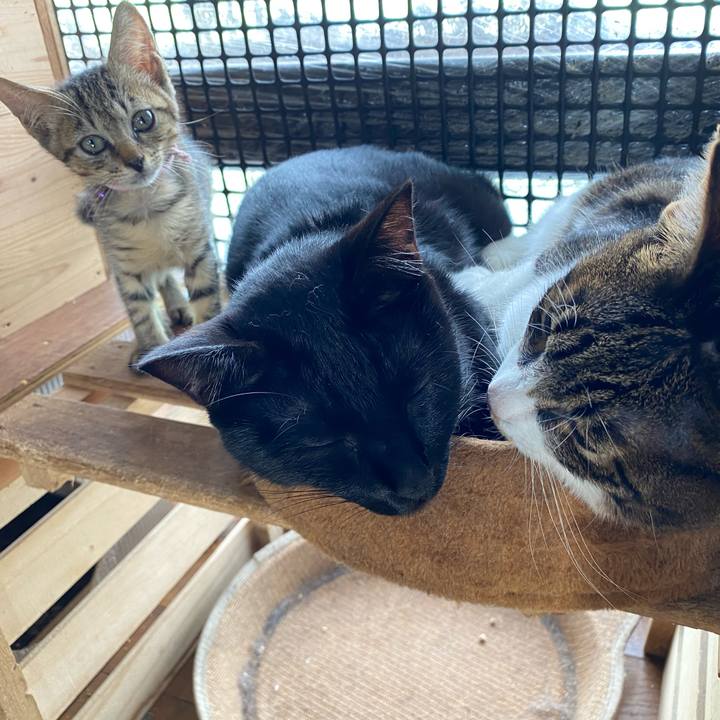 27c829a8 9bd3 467c 959d 3a2733a2b5d2 1600998411203