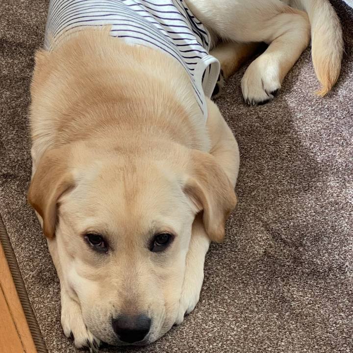 27c82f94 430b 4c2f 85ae d83fc6ab03ce 1616729725794