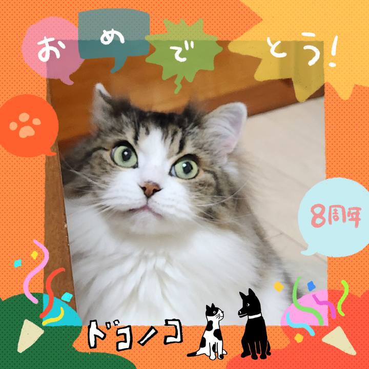 27c84a7d 74e3 4cf3 9951 37e0e180b216 1718057686845