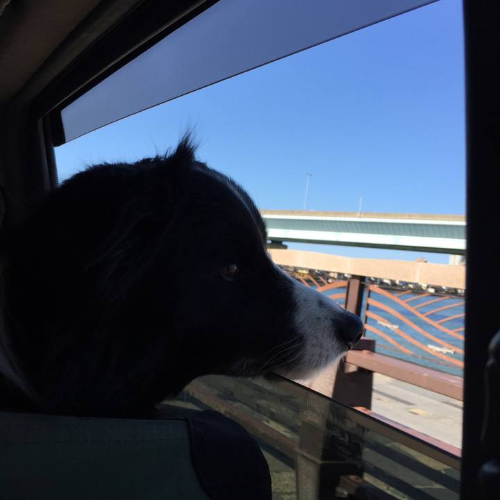 27c84e50 05c6 4aba aa38 e3c4d2909fa6 1546831191662