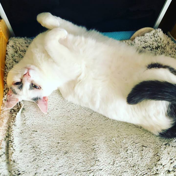 27c85abf 9e09 46ea 97ec 391daac3e10e 1561068491831