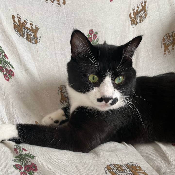 27c89b2a 1c14 41a5 a5a2 61b77909624c 1674870769268