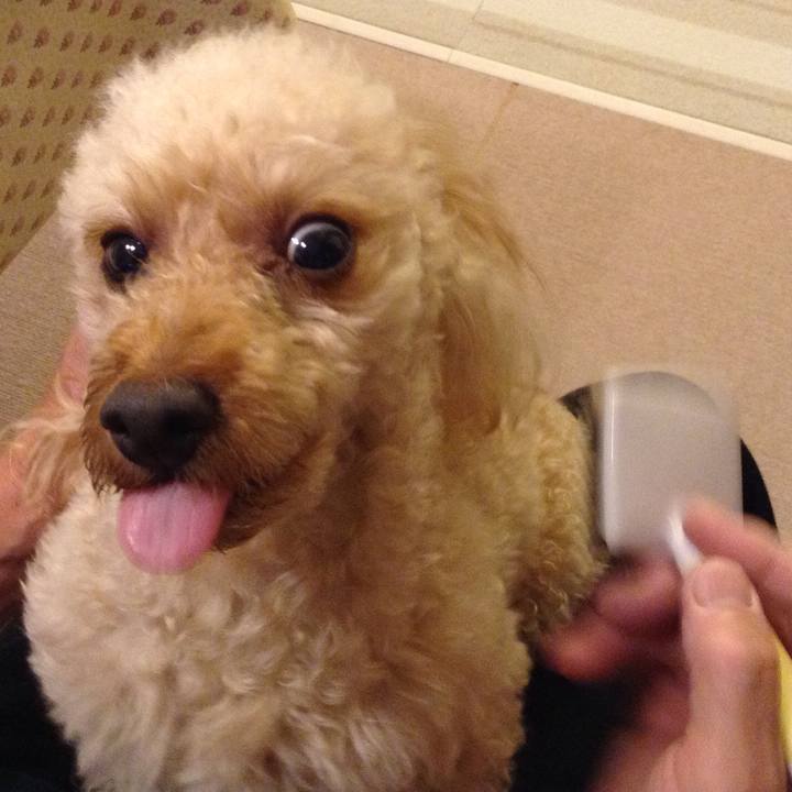 27c89df7 e702 4d4c bdba 08a812fe5f29 1557405113577