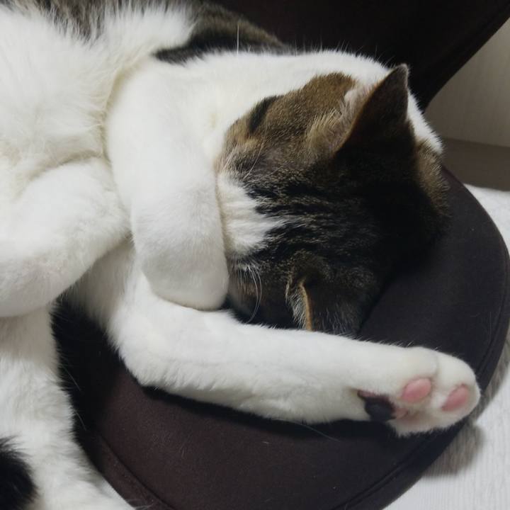 27c8bfed c83e 4f1d adf3 1a0cb0233034 1586085139410