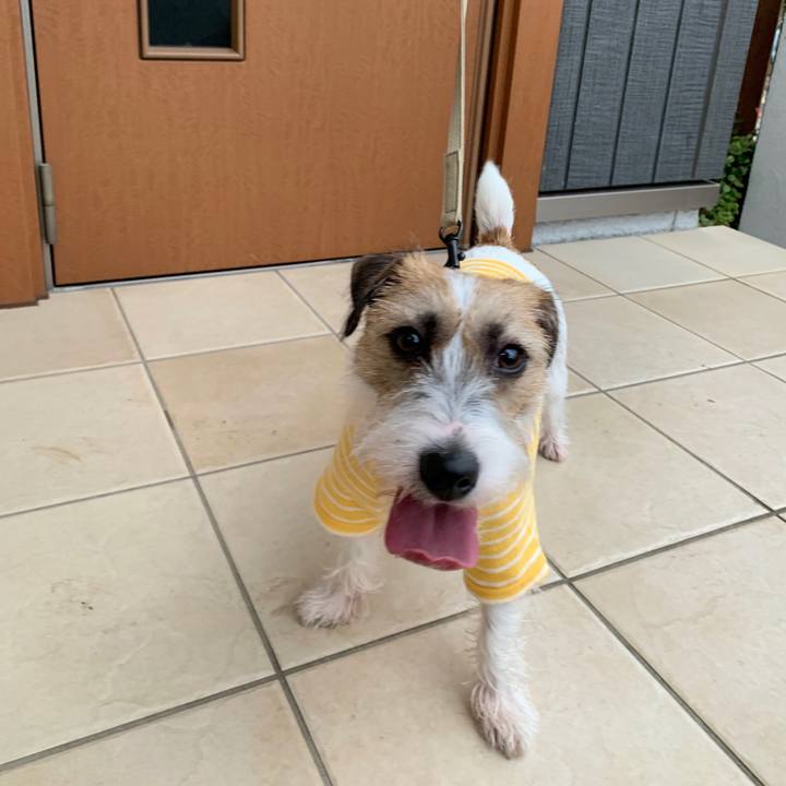 27c8db24 3704 43c2 87f5 68e23f541095 1598966915024