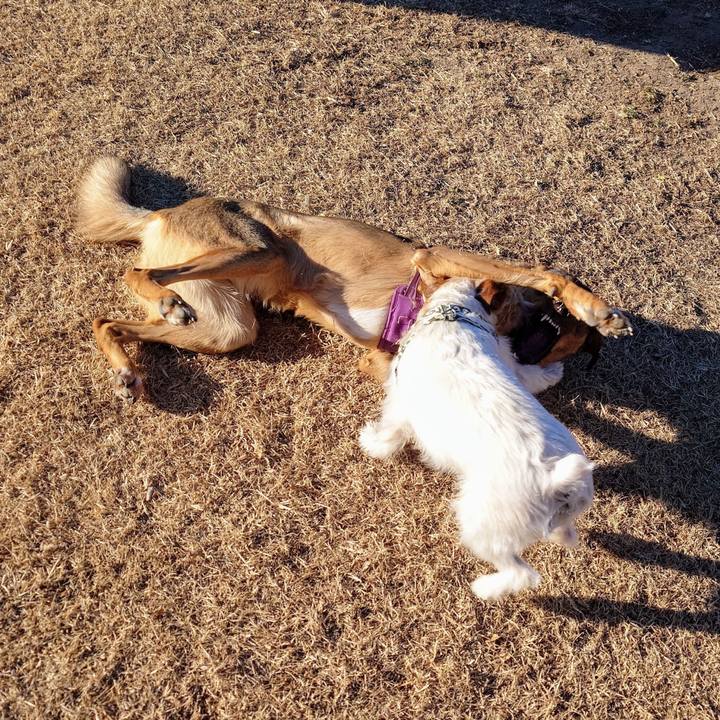 27c8e690 9bf4 4fde aef8 b4d0c42416df 1735952427044