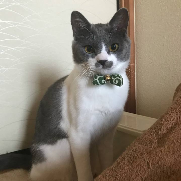 27c8f66b a8aa 4451 a10b 4f54970b0f2c 1625226574893