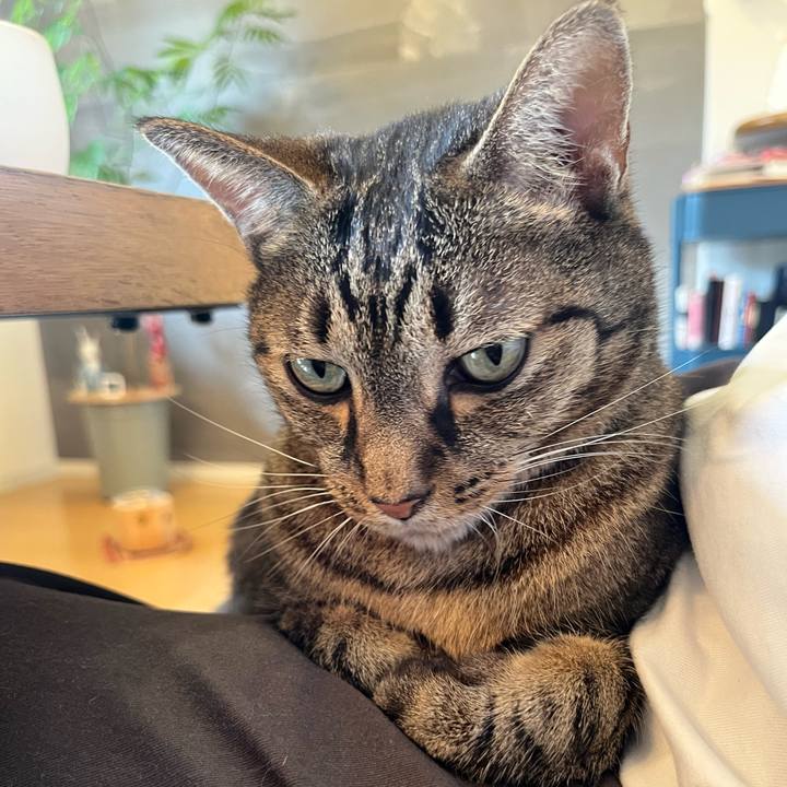 27c904bc 2fef 426c 98ec e8960ed1a741 1758586208116