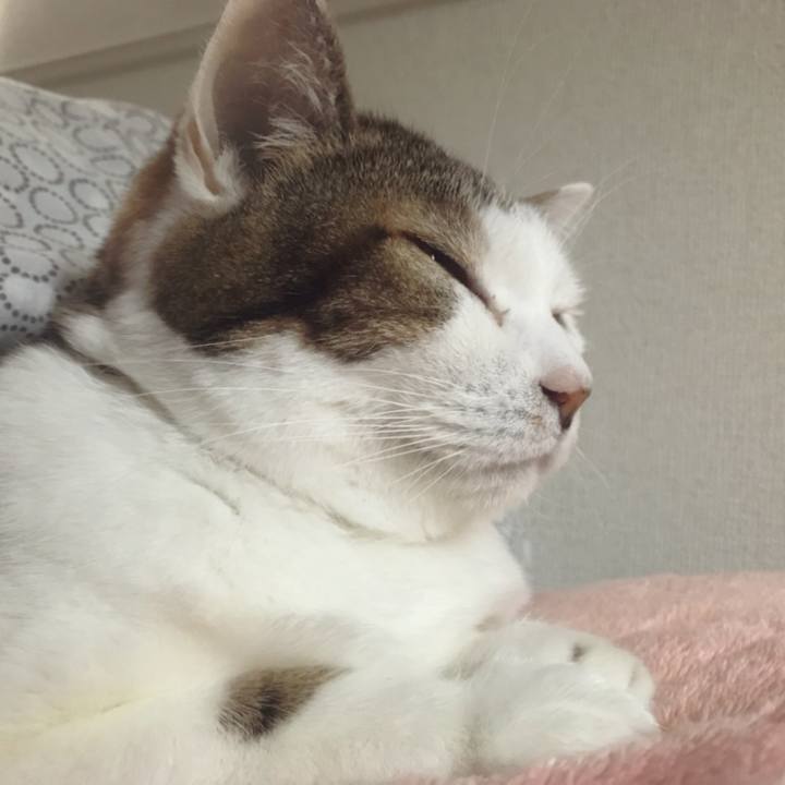 27c9177b 613e 415e b881 9ed1d711b4a3 1577590893205