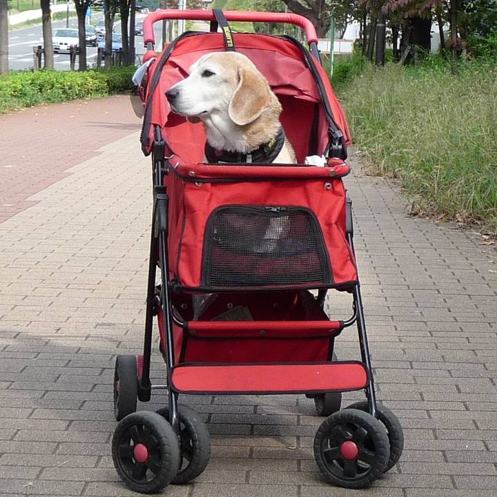 27c91e22 ab3f 46b7 bbae 0877832a54b7 1701046191715