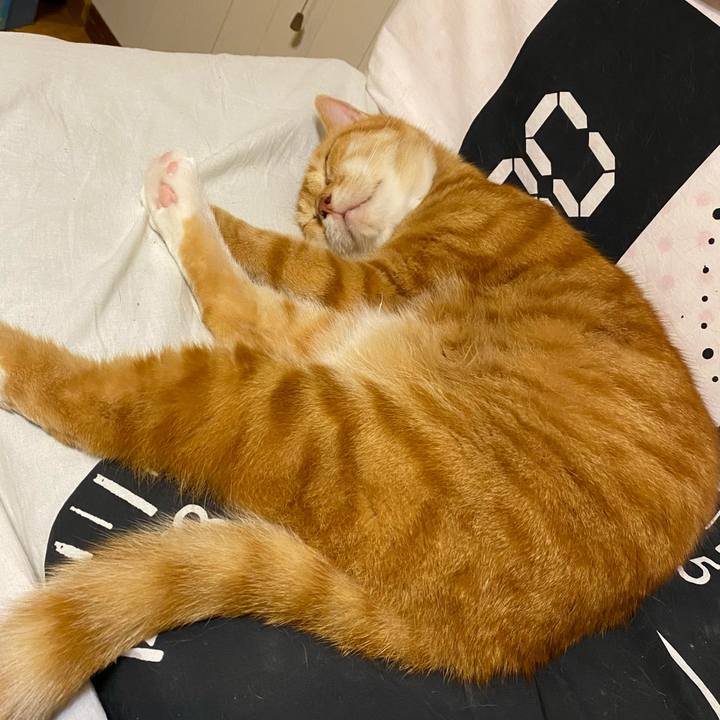 27c9426b 02b4 44f6 9a01 f9dad3b8d5be 1626778148538