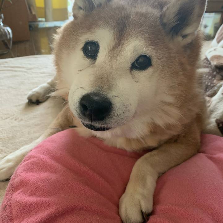 27c96893 bbf6 4ff9 afa5 6202e0126d82 1613828290015