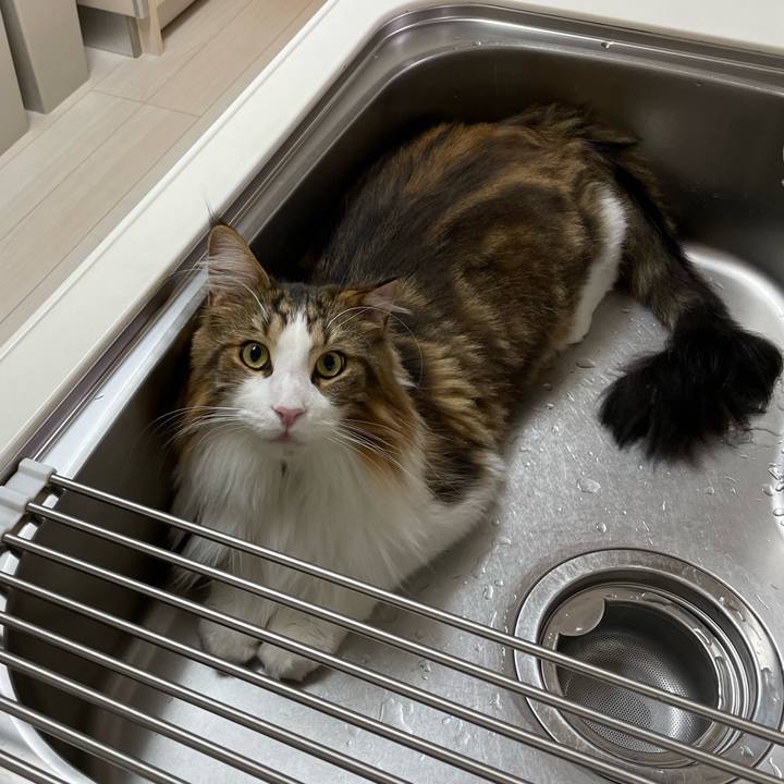 27c96b7b d29f 436f 8d58 d9b0f543d72e 1665950855404