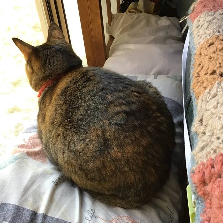 27c9822b 26c4 4ea9 9165 f329c461c019 1603955690963