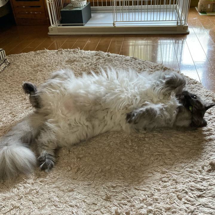 27ca06d3 af1c 4b48 98f9 f9002bcccb8a 1713309719716